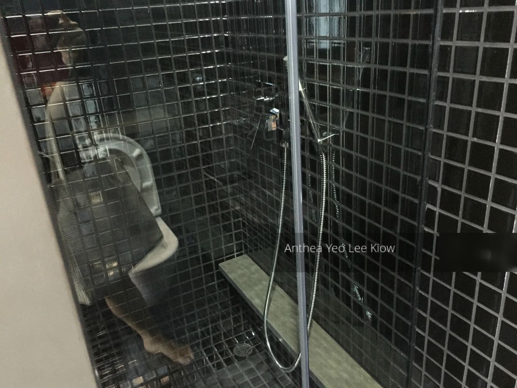 Skysuites@Anson (D2), Apartment #130674632